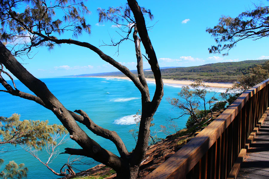 The coast from a timber boardwalk, headland and surf below
